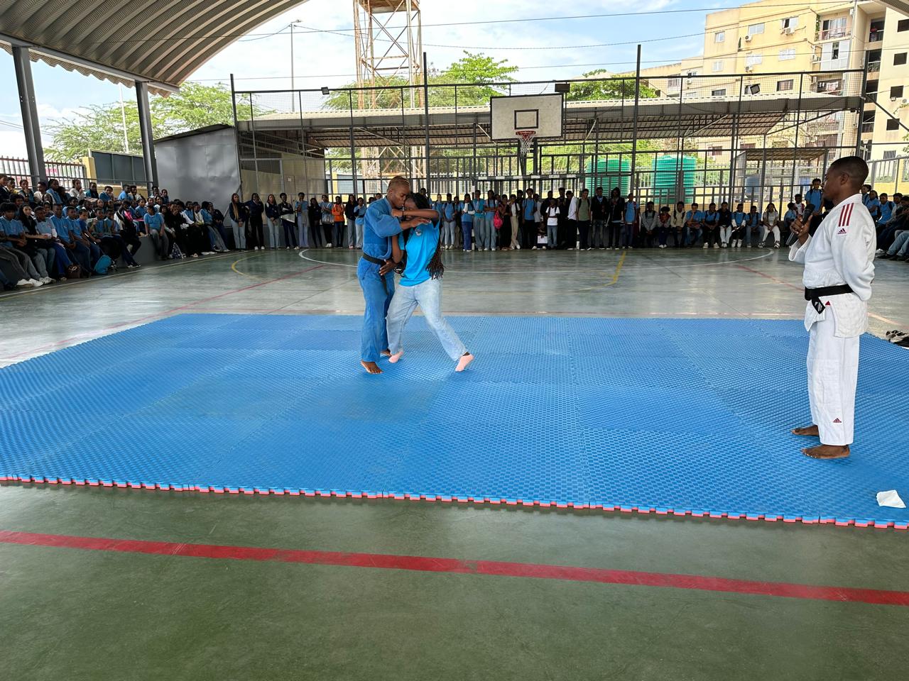 Aulas Extracurriculares de Judo – Todos os Polos Pitruca